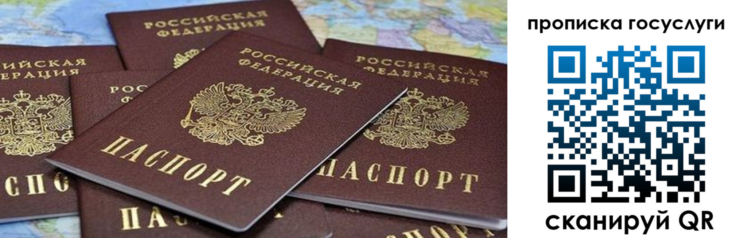 пропишу в квартире в Барнауле